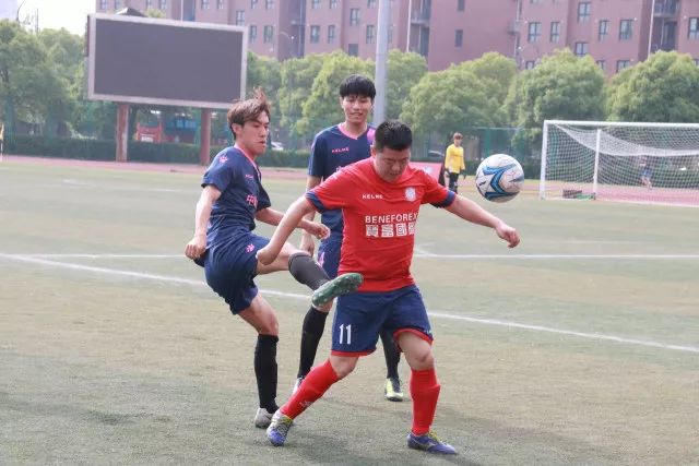UED官网专业服务展示